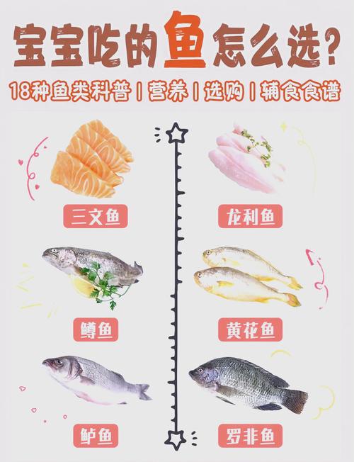 宝宝辅食选哪种鱼好？-图1
