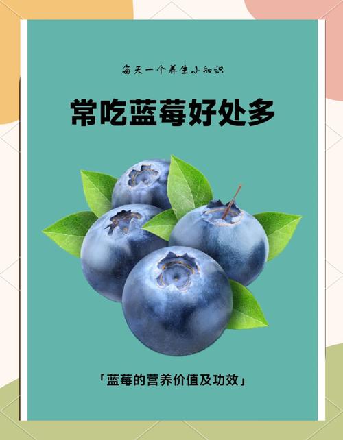 宝宝能吃煮蓝莓吗？-图3