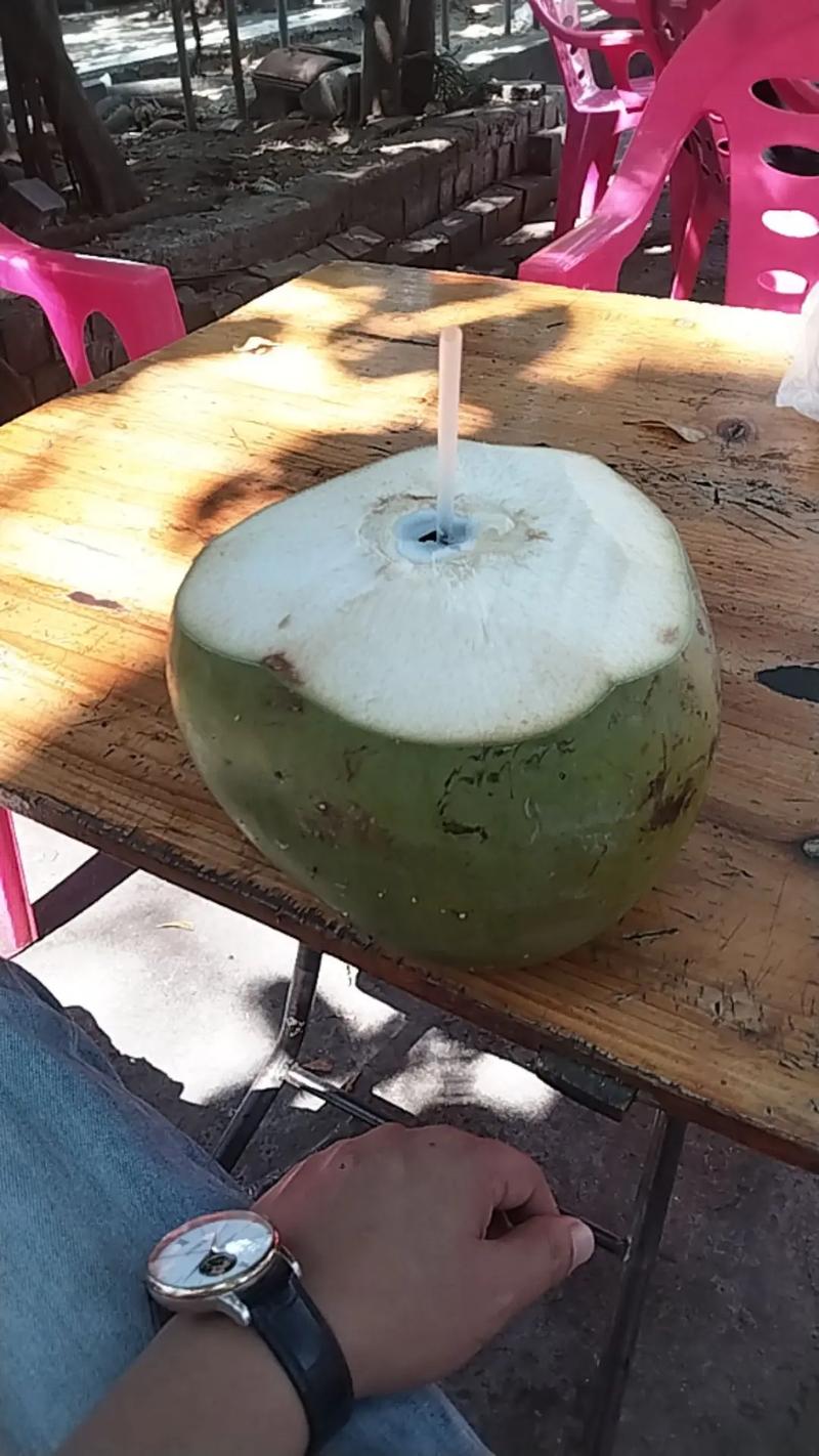 海鲜后喝椰子汁会中毒吗？-图2
