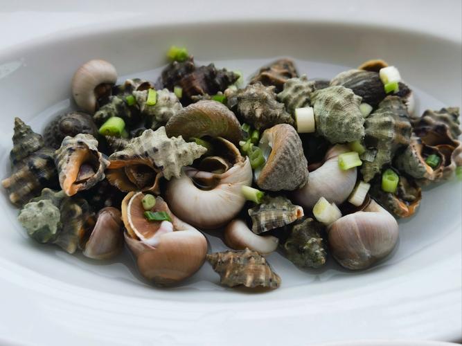 经期吃海鲜有禁忌？哪些能吃？-图2