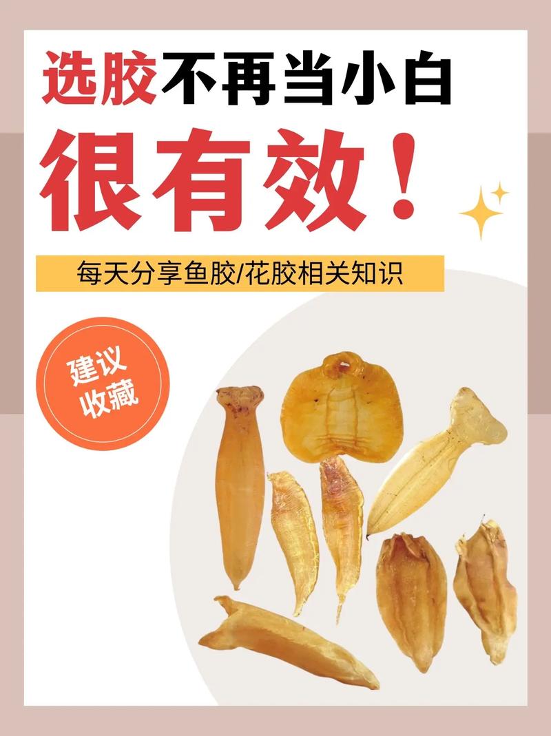 海鲜过敏者能吃花胶吗？-图1