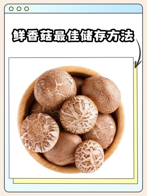 宝宝吃的香菇要煮多久-图2