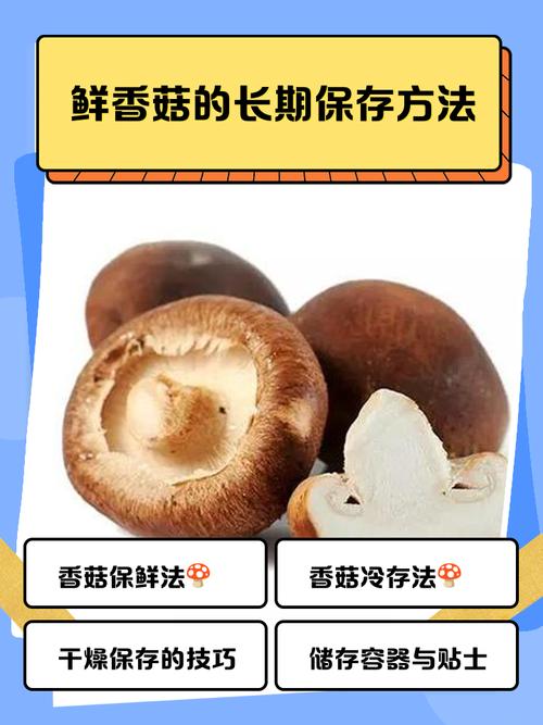 宝宝吃的香菇要煮多久-图3