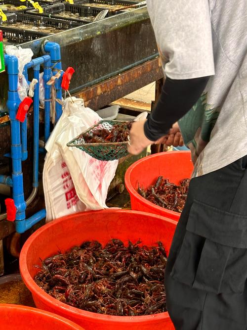 白家海鲜市场的小龙虾够新鲜吗？-图2