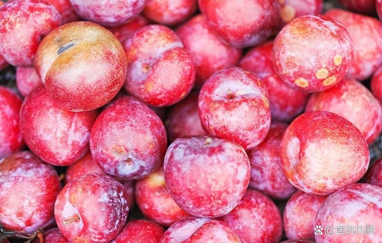 海鲜后吃李子会中毒吗？-图2