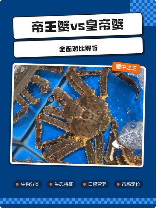 帝王蟹属于海鲜还是河鲜？-图1