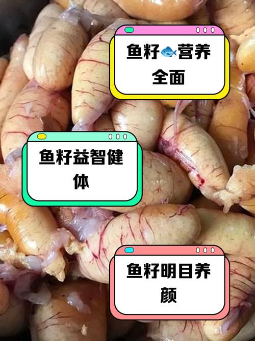 深海鲜鲅鱼鱼籽怎么做好吃？-图2