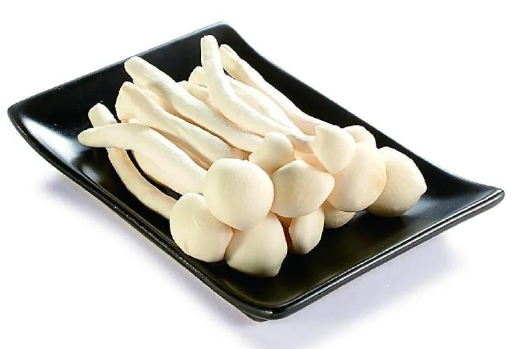 宝宝能吃海鲜菇吗？-图3